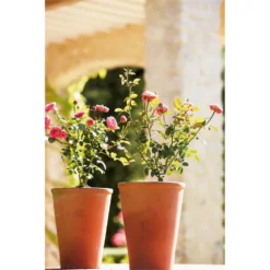 Terracotta Long Tom Plant Pot - 23cm -Flowerpot Specialty Store 12805967 1664833173242506