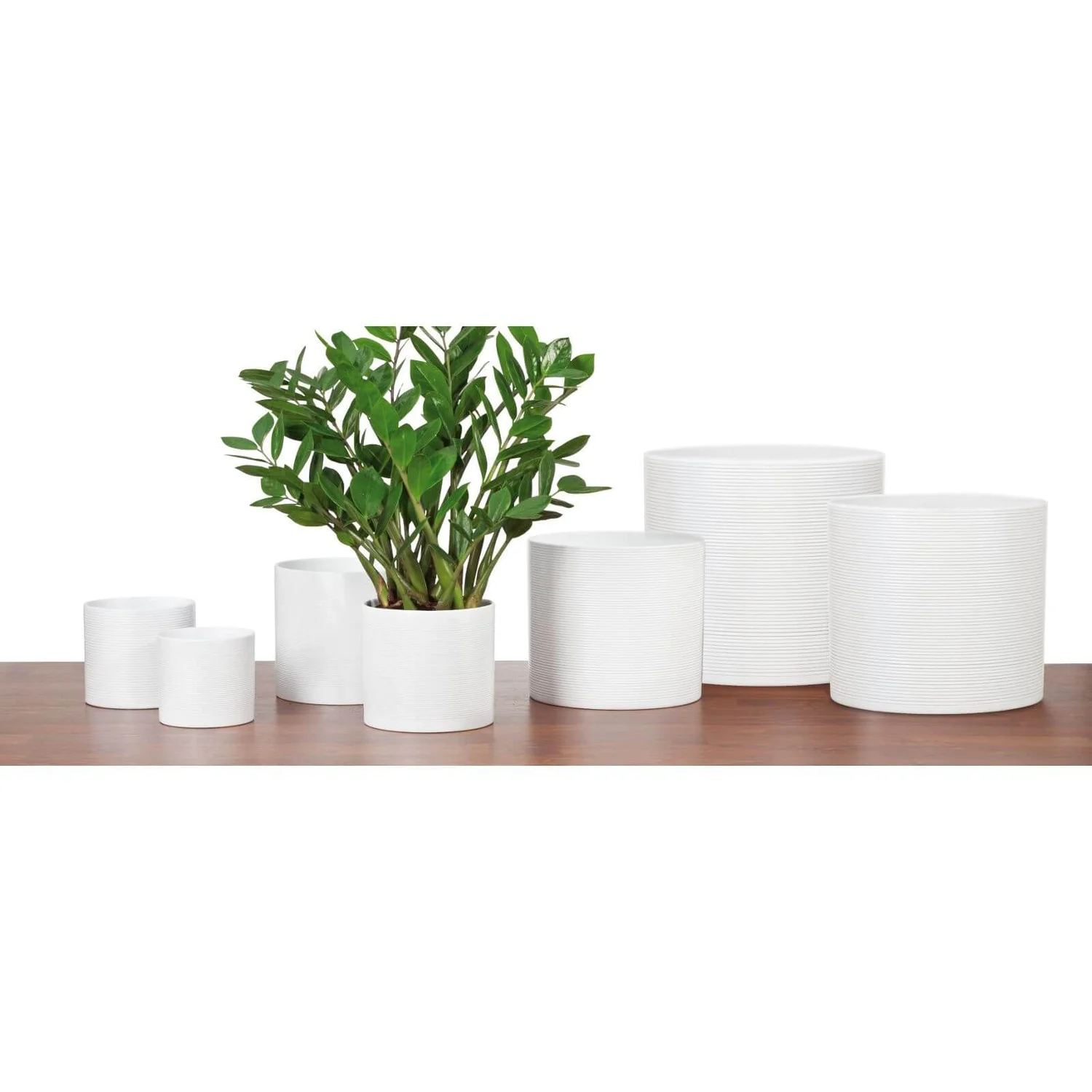 White Plant Pot - 16cm 2 White Plant Pot - 16cm - Image 2