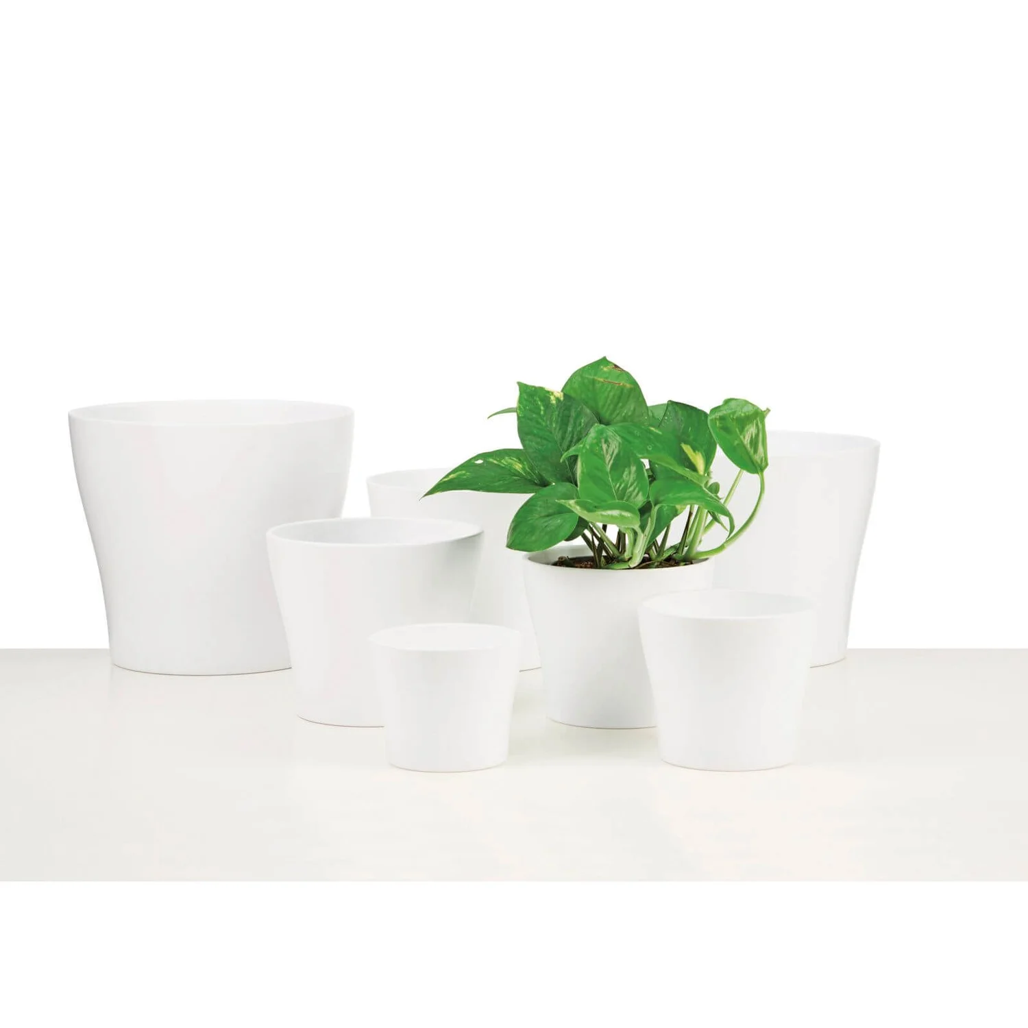 White Plant Pot - 17cm 2 White Plant Pot - 17cm - Image 2