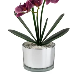 Orchid With Silver Glass Pot - Purple -Flowerpot Specialty Store 12879285 1054864281948609