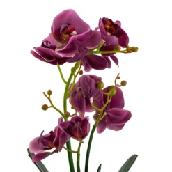 Orchid With Silver Glass Pot - Purple -Flowerpot Specialty Store 12879285 2084864281975504