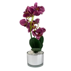 Orchid With Silver Glass Pot - Purple -Flowerpot Specialty Store 12879285 4804864281923592