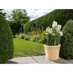 Himalaya Terracotta Vase - 32cm -Flowerpot Specialty Store 12885641 1554843611573003