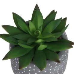 Small Succulent - Grey -Flowerpot Specialty Store 12909500 1734869235660464
