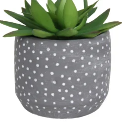 Small Succulent - Grey -Flowerpot Specialty Store 12909500 2024869235581411