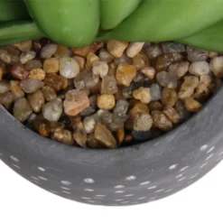 Small Succulent - Grey -Flowerpot Specialty Store 12909500 5574869235621944