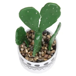 Cactus In Abstract Pot -Flowerpot Specialty Store 12909502 1064869235554777