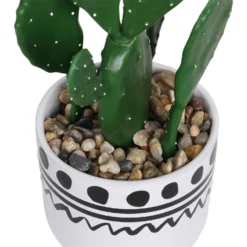 Cactus In Abstract Pot -Flowerpot Specialty Store 12909502 2094869235640256