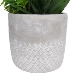 Mixed Succulent In Grey Pot -Flowerpot Specialty Store 12909503 2114869235721745
