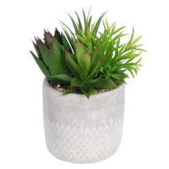 Mixed Succulent In Grey Pot -Flowerpot Specialty Store 12909503 9784869235552071