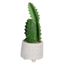Cactus In Textured Pot -Flowerpot Specialty Store 12909506 2004869235513296