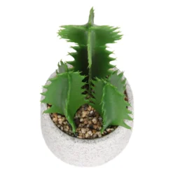 Cactus In Textured Pot -Flowerpot Specialty Store 12909506 2804869235539384