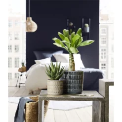 Scheurich Alma Blue Ceramic Pot - 12cm -Flowerpot Specialty Store 12912144 5774845867664998