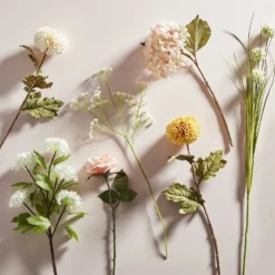 Rose - Light Peach -Flowerpot Specialty Store 12913567 8584857400384818