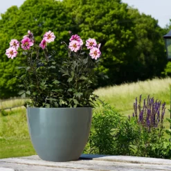 Chiswick Egg Pot Grey 27cm -Flowerpot Specialty Store 13176833 2034953204241713