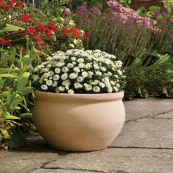 Regency Terracotta Bowl - 28cm -Flowerpot Specialty Store 13176837 8994933182875829