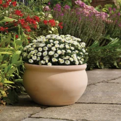 Regency Terracotta Bowl - 37cm -Flowerpot Specialty Store 13176839 1914933182838257