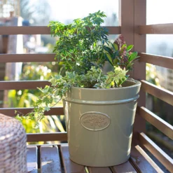 Flowerpot Specialty Store -Flowerpot Specialty Store 13188755 1624933183041810