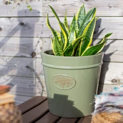 Country Living Heritage Sage Cone Pot - 33cm -Flowerpot Specialty Store 13188755 4344933183213293