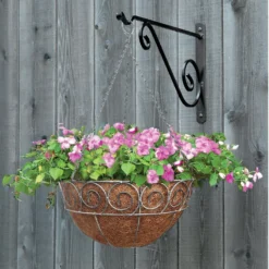 Flowerpot Specialty Store -Flowerpot Specialty Store 13193949 1754902150121659