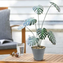 Ribbed Planter (3 Colour Mix) - 12cm 15 Ribbed Planter (3 Colour Mix) - 12cm -Flowerpot Specialty Store 13193954 4474933504214550