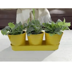 Zinc Ribbed Herb Pots & Tray -Flowerpot Specialty Store 13193962 8744933502628279