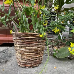 Natural Weave Round Garden Planter 20cm -Flowerpot Specialty Store 13204837 1354951328938494