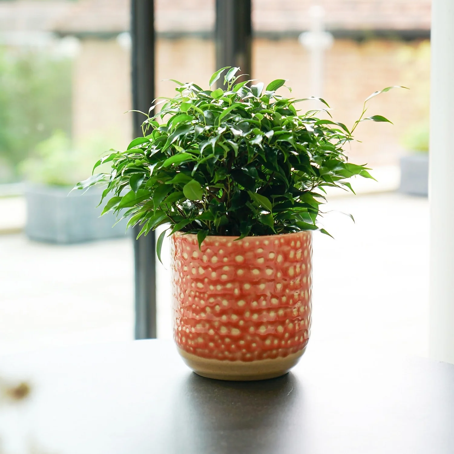 House Beautiful Titian Glaze Planter 13cm 2 House Beautiful Titian Glaze Planter 13cm - Image 2