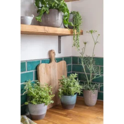 Hampton Moon Plant Pot - 16cm -Flowerpot Specialty Store 13432908 9454914553323723