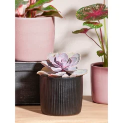 Black Ebano Plant Pot - 13cm -Flowerpot Specialty Store 13432912 1804914551054016