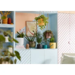 Perla White Plant Pot - 13cm 9 Perla White Plant Pot - 13cm -Flowerpot Specialty Store 13432916 1714948250063925