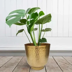 Hammered Brass Indoor Plant Pot - 16cm -Flowerpot Specialty Store 13887185 1304999810003221