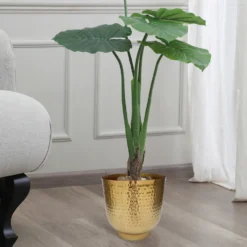 Hammered Brass Indoor Plant Pot - 16cm -Flowerpot Specialty Store 13887185 1744999810045341