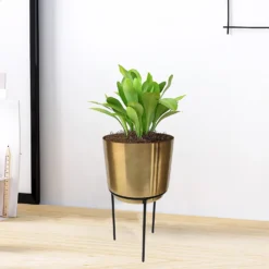 Brass Indoor Plant Pot With Straight Stand - 14cm -Flowerpot Specialty Store 13887189 1004999809742584