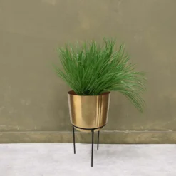 Brass Indoor Plant Pot With Straight Stand - 14cm -Flowerpot Specialty Store 13887189 2044999809776136