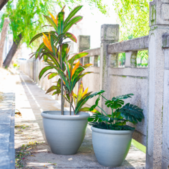 Ashford Planter Grey 35cm 11 Ashford Planter Grey 35cm -Flowerpot Specialty Store 13928636 1795001955680876