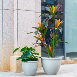 Ashford Planter Grey 35cm 10 Ashford Planter Grey 35cm -Flowerpot Specialty Store 13928636 4345001955583745