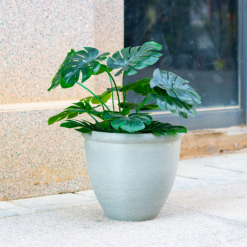 Ashford Planter Grey 35cm 7 Ashford Planter Grey 35cm -Flowerpot Specialty Store 13928636 7025001955324077