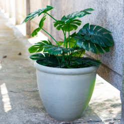 Ashford Planter Grey 45cm -Flowerpot Specialty Store 13928637 1225001956125071