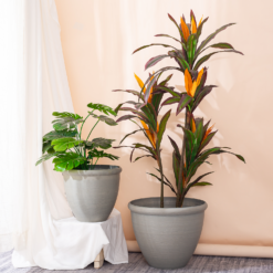 Ashford Planter Grey 45cm -Flowerpot Specialty Store 13928637 7525001956362680