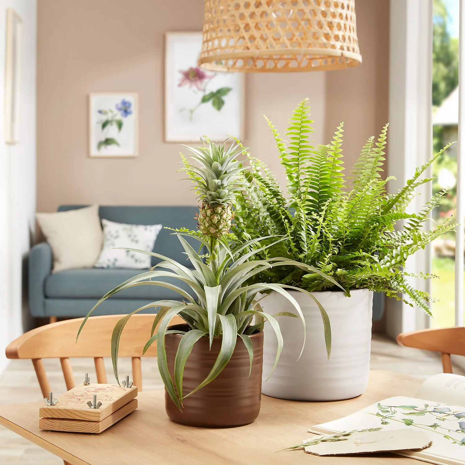 Scheurich Ripple White Indoor Pot - 14cm 2 Scheurich Ripple White Indoor Pot - 14cm - Image 2