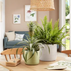 Scheurich Ripple White Indoor Pot - 23cm 5 Scheurich Ripple White Indoor Pot - 23cm -Flowerpot Specialty Store 13953262 1584987119918525