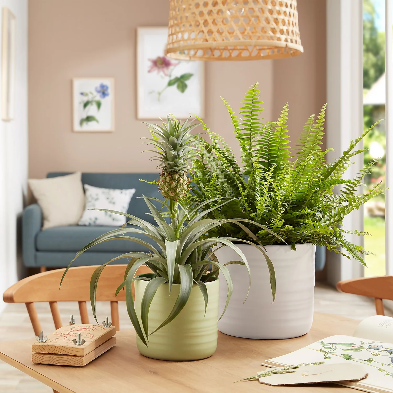 Scheurich Ripple White Indoor Pot - 23cm 3 Scheurich Ripple White Indoor Pot - 23cm - Image 3