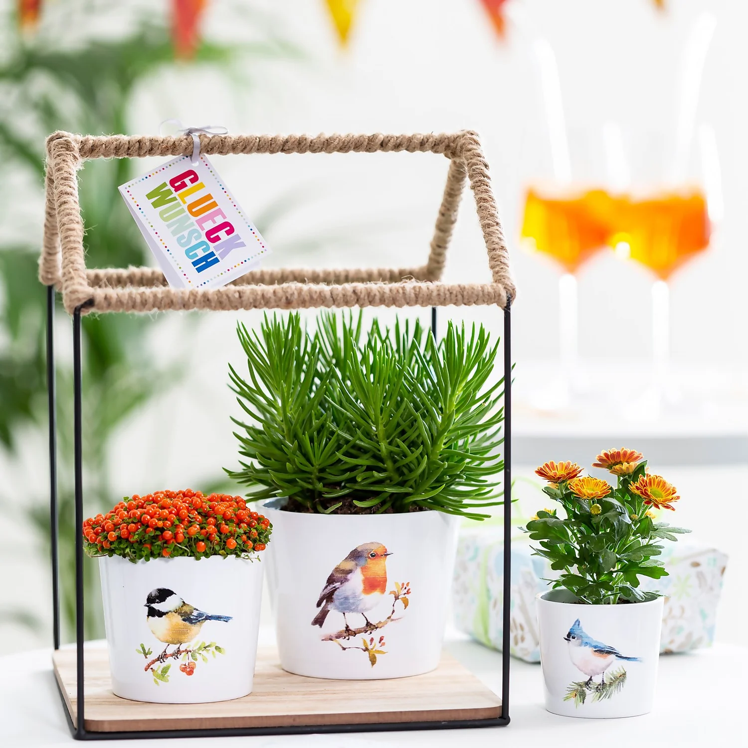 Scheurich Robin Indoor Pot - 13cm 2 Scheurich Robin Indoor Pot - 13cm - Image 2