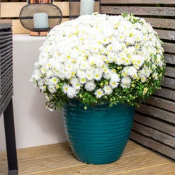 Wave Pot Teal - 33cm 8 Wave Pot Teal - 33cm -Flowerpot Specialty Store 13973618 1865011239813264