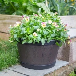 Banded Whiskey Barrel Planter - 39cm 6 Banded Whiskey Barrel Planter - 39cm -Flowerpot Specialty Store 13973620 9525011238741097