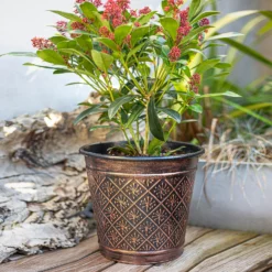 Vintage Allium Patterned Cone Pot - 37cm 11 Vintage Allium Patterned Cone Pot - 37cm -Flowerpot Specialty Store 13973621 1465011240040754