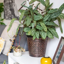 Vintage Allium Patterned Cone Pot - 37cm 10 Vintage Allium Patterned Cone Pot - 37cm -Flowerpot Specialty Store 13973621 6475011239983391