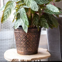 Vintage Allium Patterned Cone Pot - 37cm 9 Vintage Allium Patterned Cone Pot - 37cm -Flowerpot Specialty Store 13973621 8485011239919857