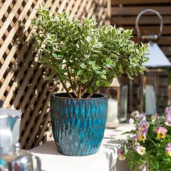 Chiswick Textured Pot Green - 24cm 7 Chiswick Textured Pot Green - 24cm -Flowerpot Specialty Store 13973630 1585011238234973